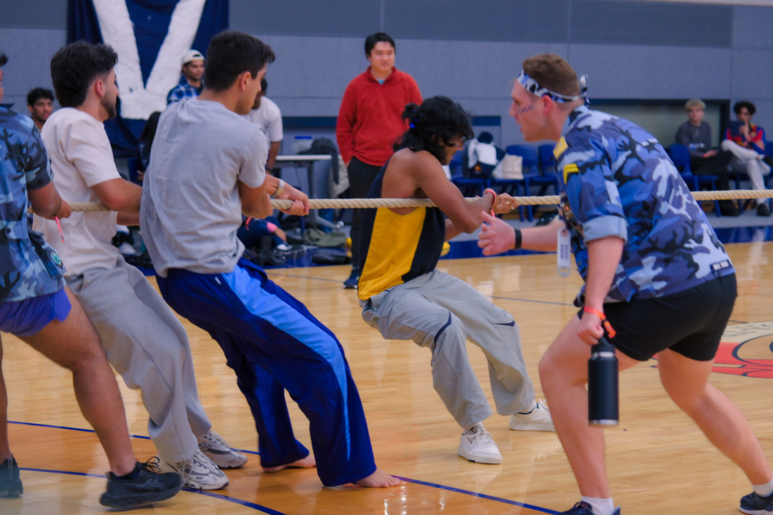 _DSC9982 2 _DSC9982 2